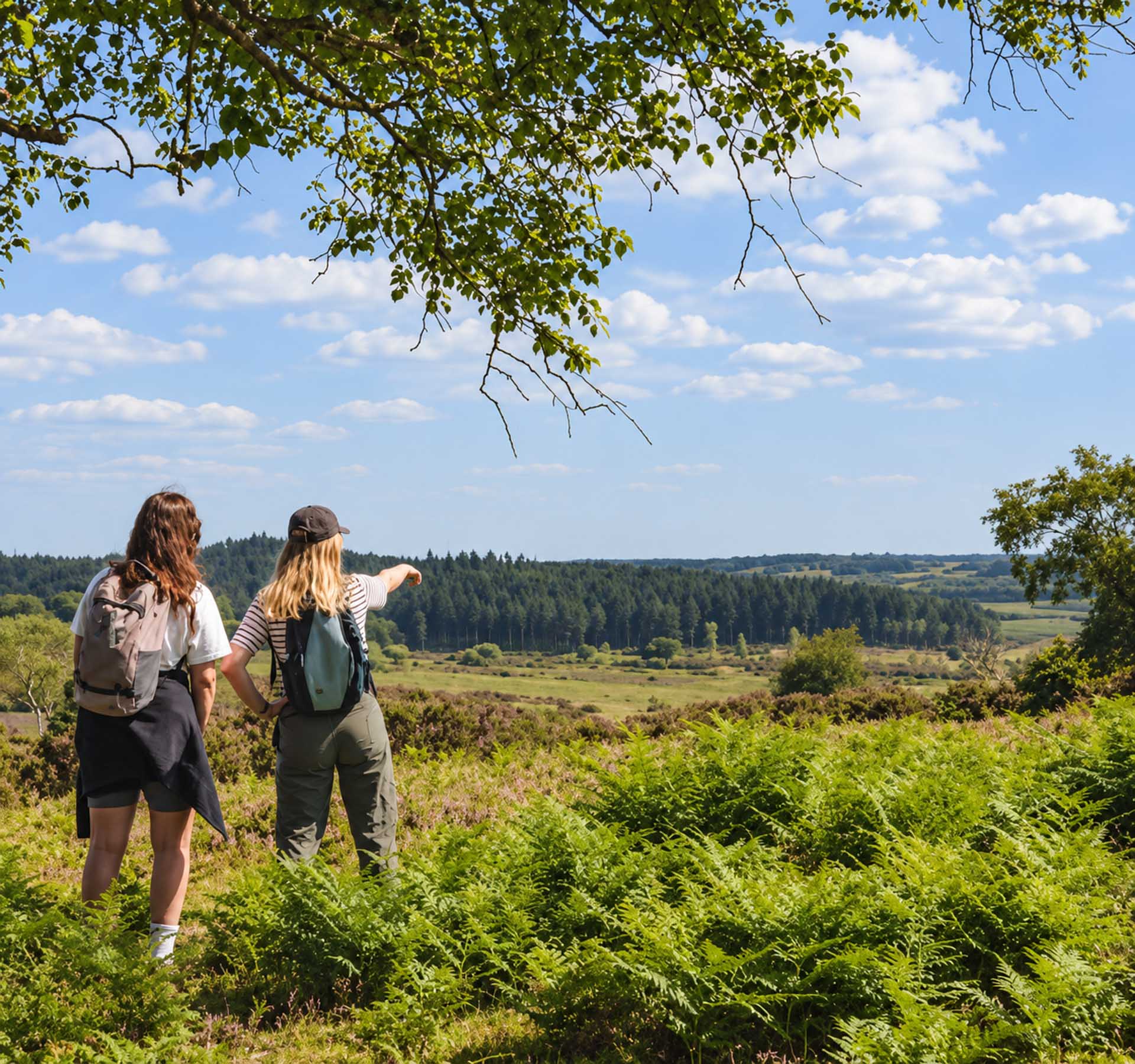 Hikers in the New Forest